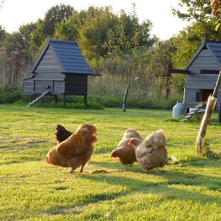 Hotel The Oaks Glamping - Magpie Half Shepherds Hut Colkirk Exterior foto