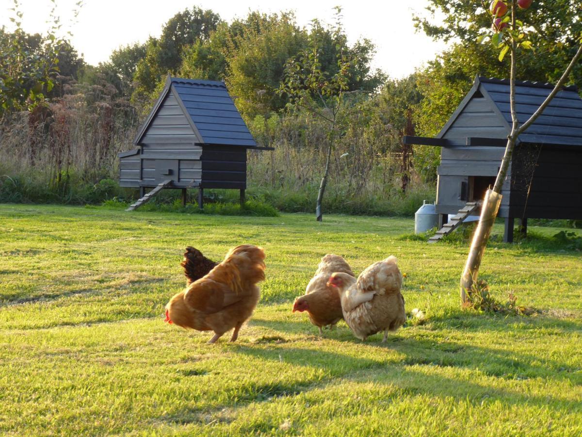 Hotel The Oaks Glamping - Magpie Half Shepherds Hut Colkirk Exterior foto